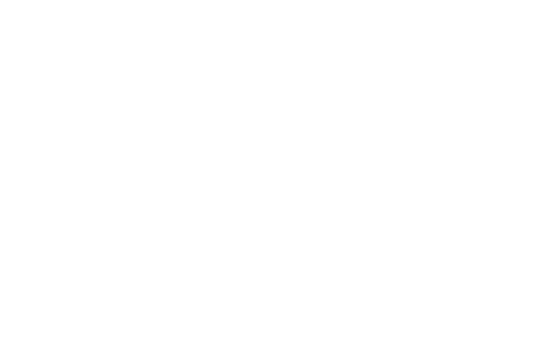 Digital Defenders Network